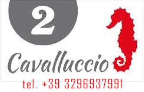 Mar&sol Hotell Termoli Exteriör bild